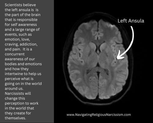 A diagram of the location of the insula on the brain and an explanation of what the function of the ansual is in relation to narcissistic personality disorder. This graphic was created for the article, "How do Narcissists Become Narcissists."