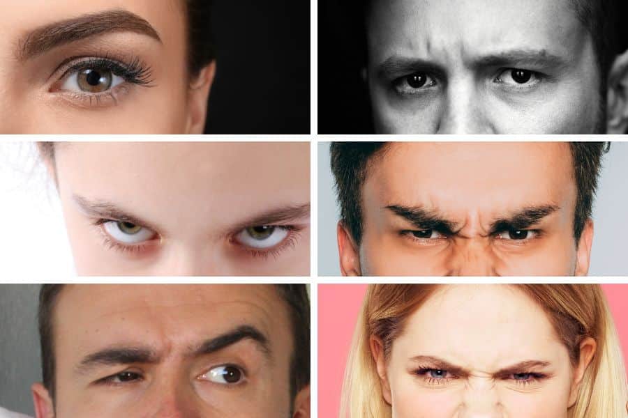 A collage of six different pictures of eyebrows in various states of anger, representing the title of the article, "Can you REALLY Tell a Narcissist by Their Eyebrows?"